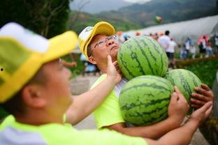 520吃瓜现场,揭秘娱乐圈甜蜜背后的真相