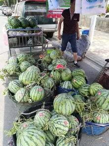 汤阴吃瓜事件,一场引发全民热议的网络狂欢