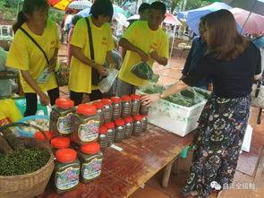 唱歌比赛吃瓜,一场别开生面的唱歌比赛盛宴